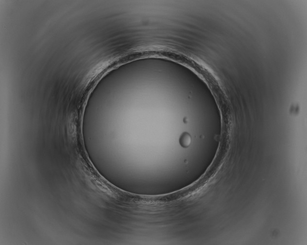 X0000090780921200708031711