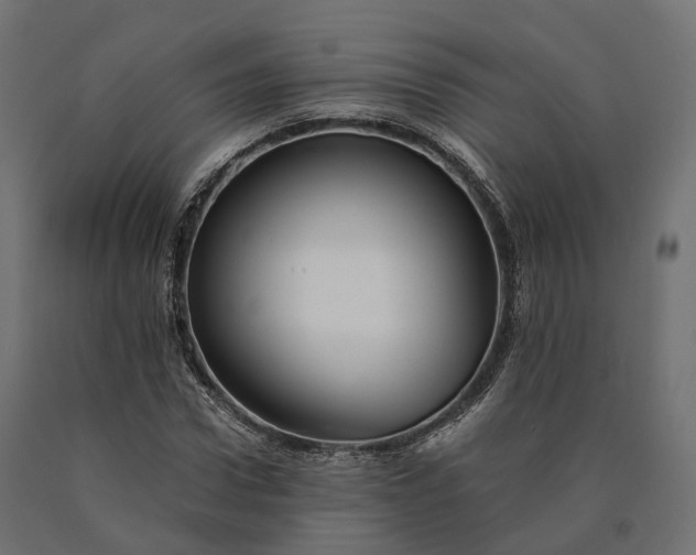 X0000090780922200708031711