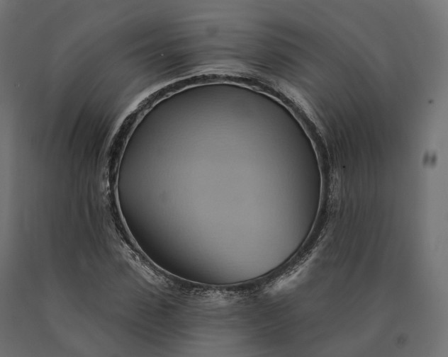 X0000090780923200708031711