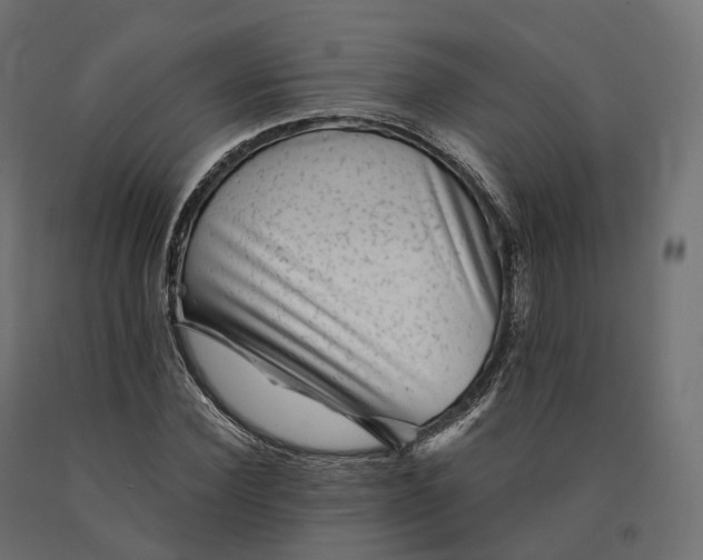 X0000090780924200708031711