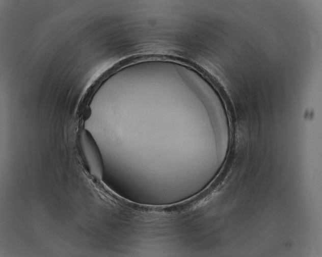 X0000090780925200708031711