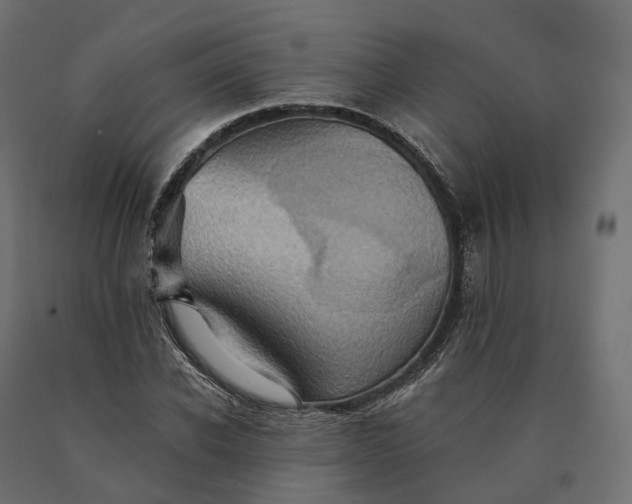X0000090780926200708031711