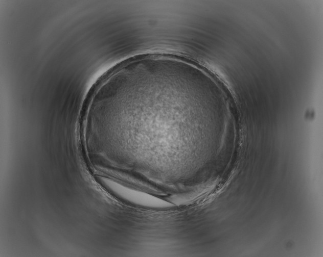 X0000090780928200708031711
