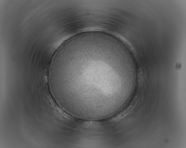 X0000090780929200708031711