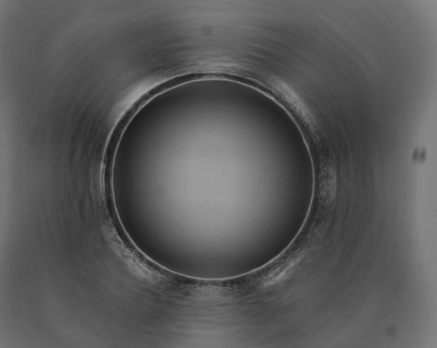X0000090780932200708031712