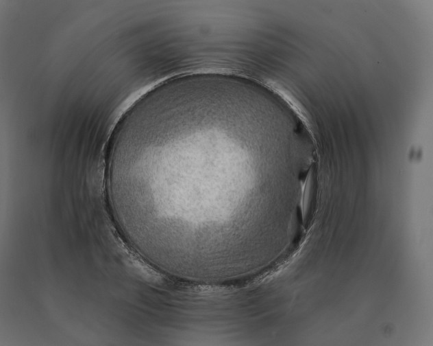 X0000090780933200708031712