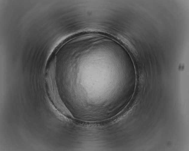 X0000090780934200708031712