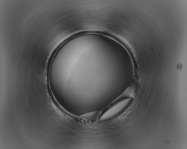 X0000090780935200708031712