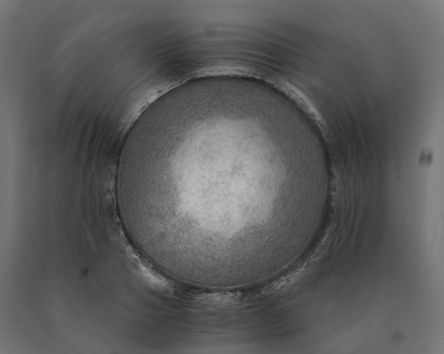 X0000090780937200708031712