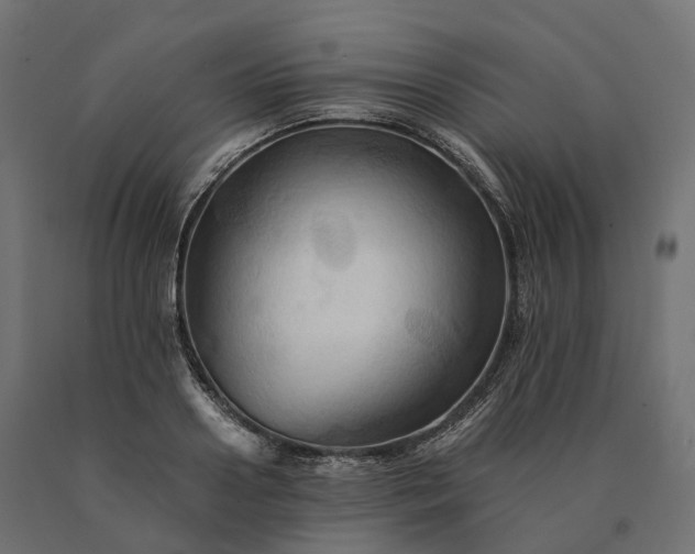 X0000090780938200708031712