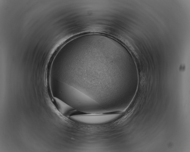 X0000090780939200708031712