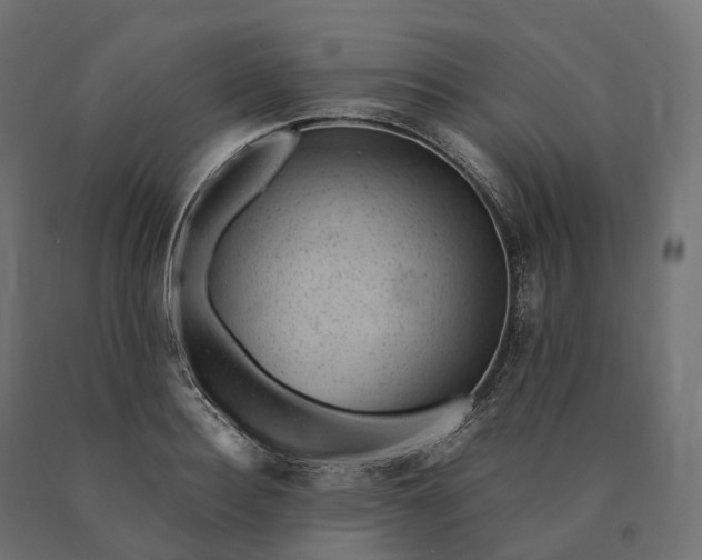 X0000090780940200708031712