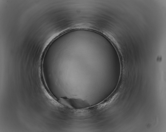 X0000090780941200708031712