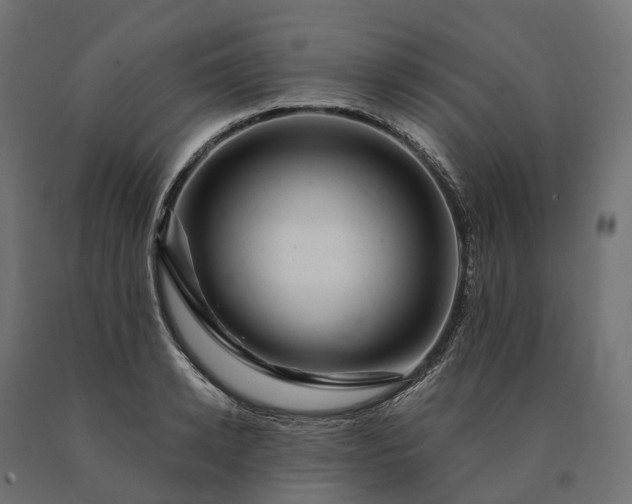 X0000090780942200708031712