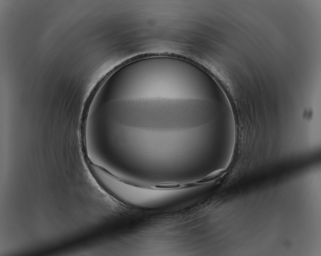 X0000090780943200708031712