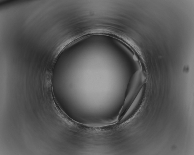 X0000090780945200708031712