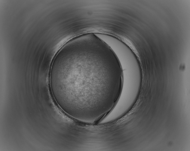 X0000090780946200708031712