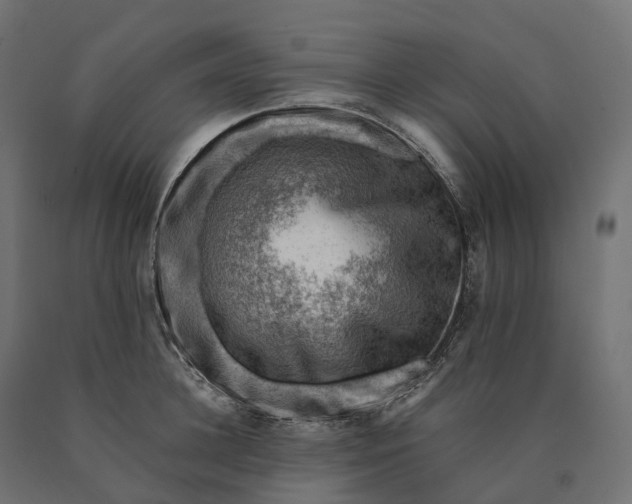 X0000090780948200708031712