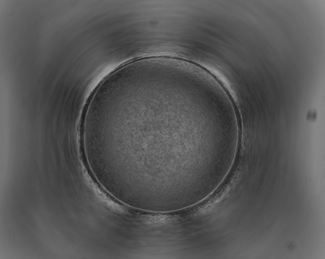 X0000090780949200708031712