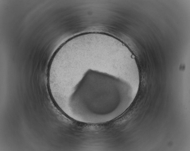 X0000090780950200708031712