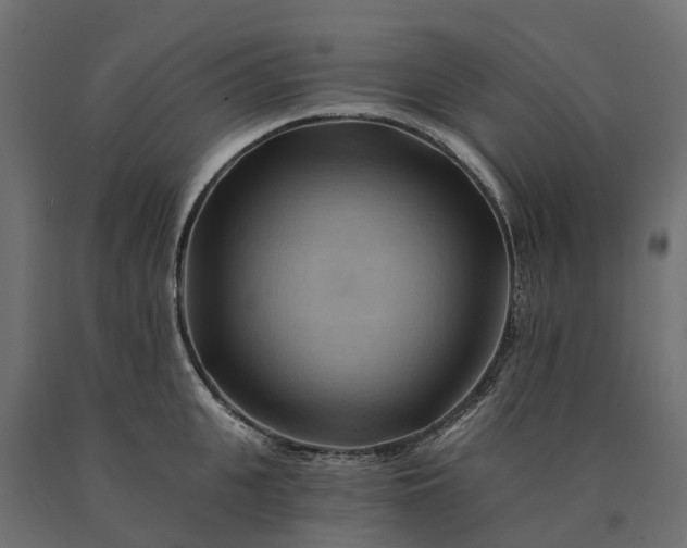 X0000090780951200708031712