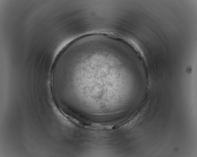X0000090780952200708031712