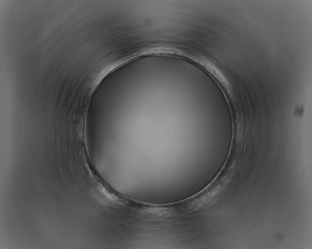 X0000090780953200708031712