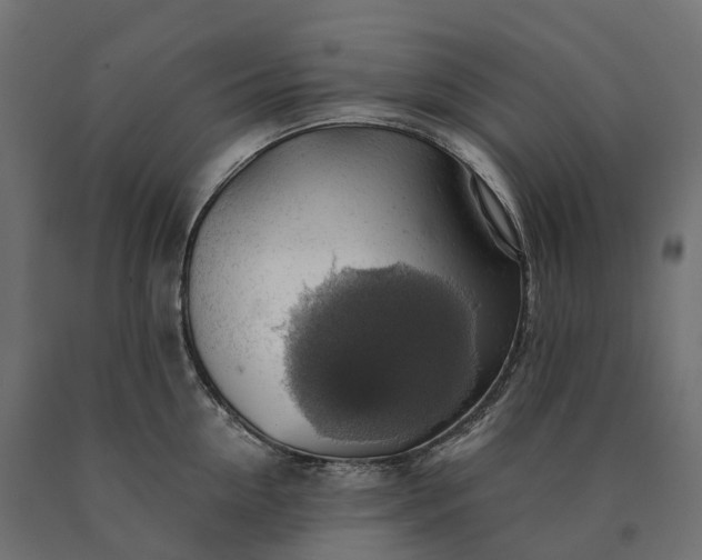 X0000090780954200708031712