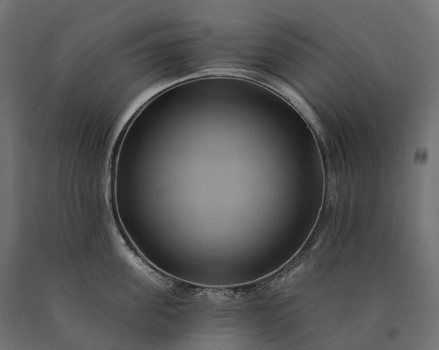 X0000090780955200708031712