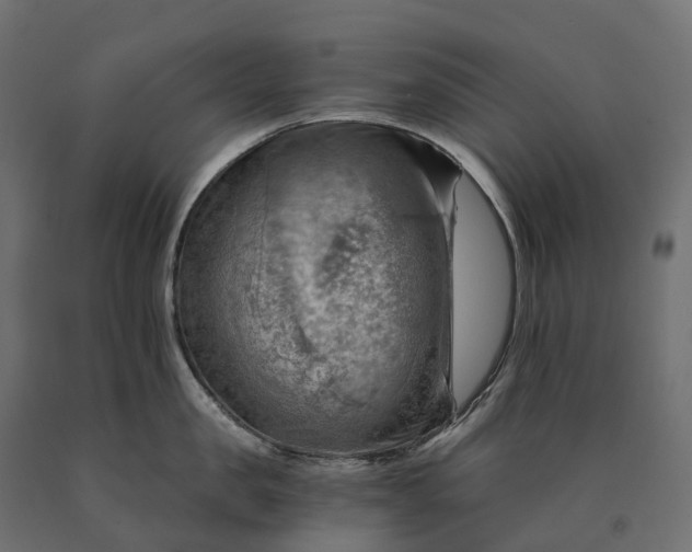 X0000090780957200708031712