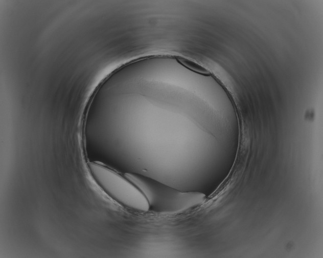 X0000090780958200708031712