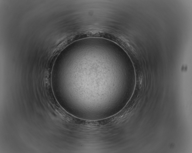 X0000090780964200708031711