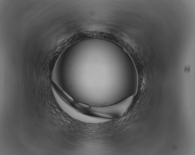 X0000090780965200708031711