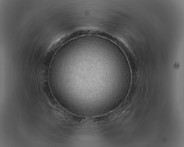X0000090780967200708031711