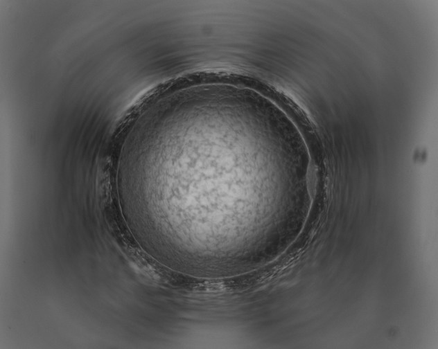 X0000090780968200708031711