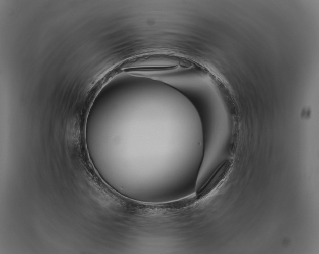 X0000090780969200708031711