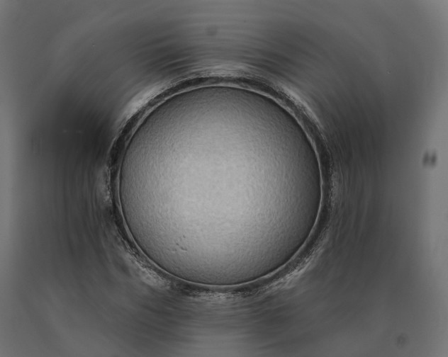 X0000090780970200708031711