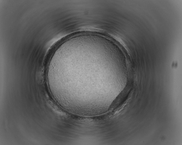 X0000090780971200708031711