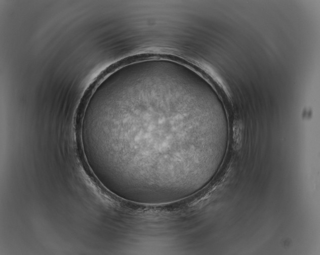 X0000090780972200708031711