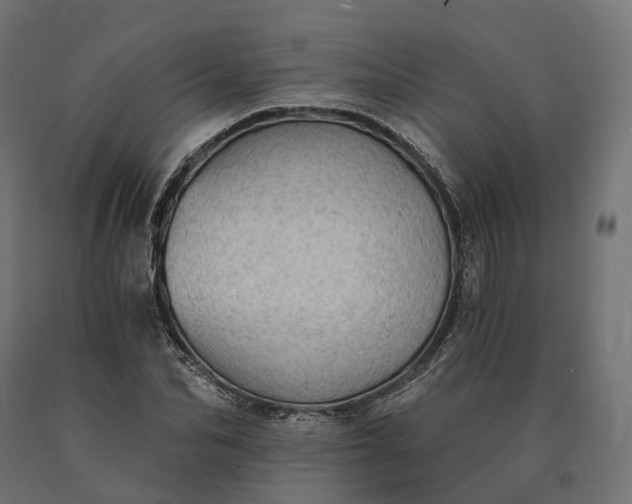 X0000090780974200708031711