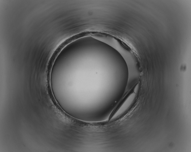 X0000090780976200708031711