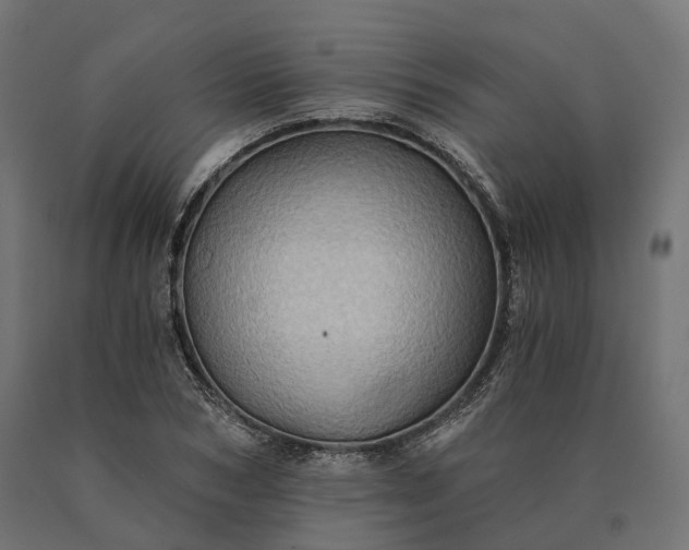 X0000090780978200708031711