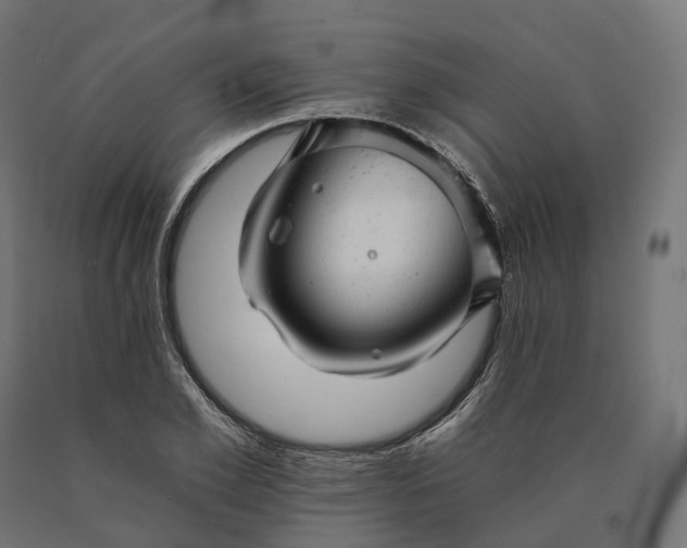 X0000090780981200708031711