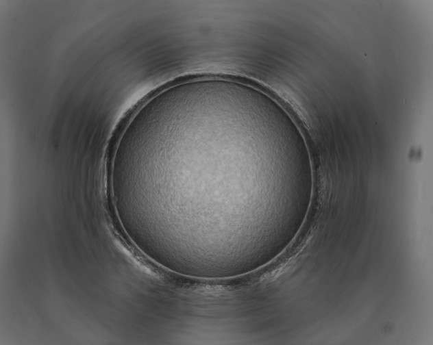 X0000090780982200708031711