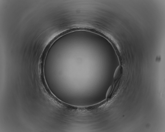 X0000090780983200708031711