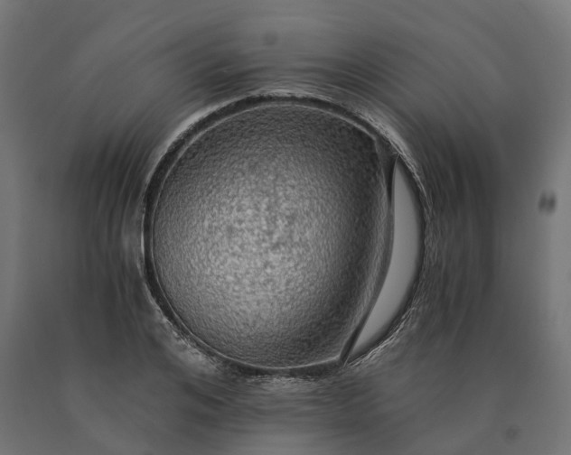 X0000090780984200708031711