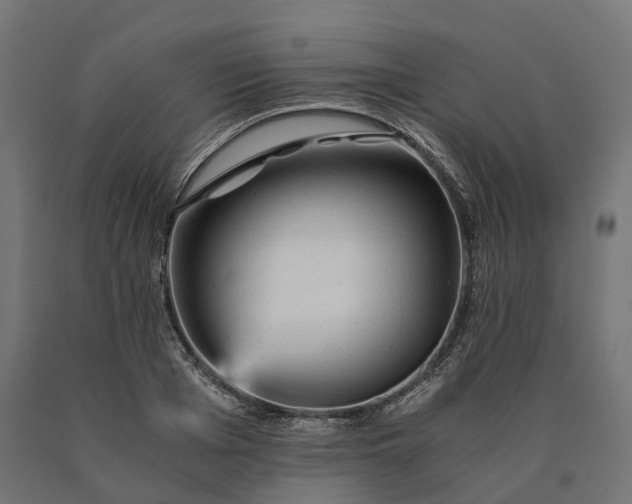 X0000090780985200708031711