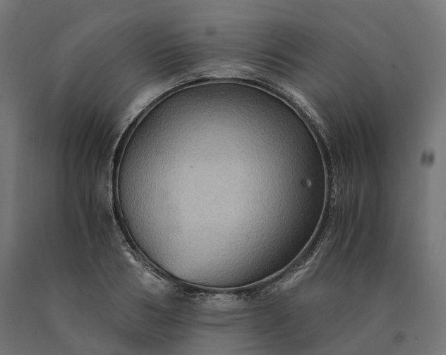 X0000090780986200708031711