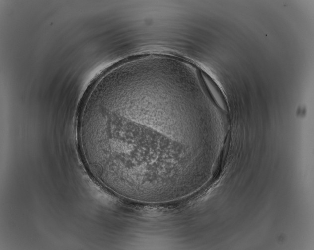 X0000090780987200708031711
