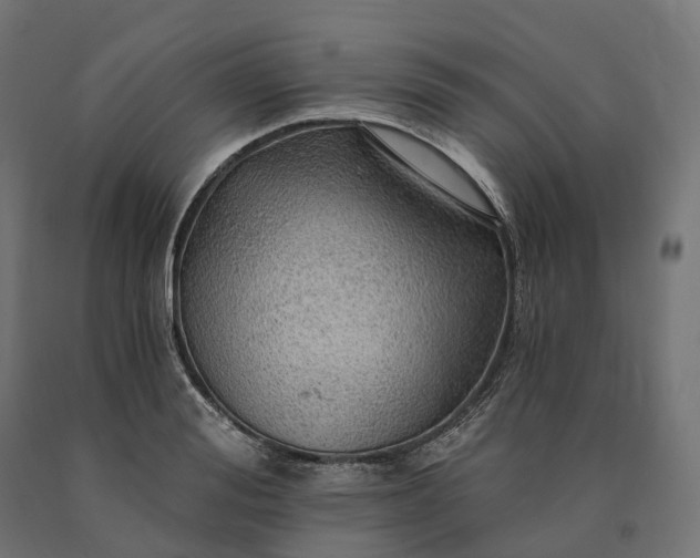 X0000090780988200708031711